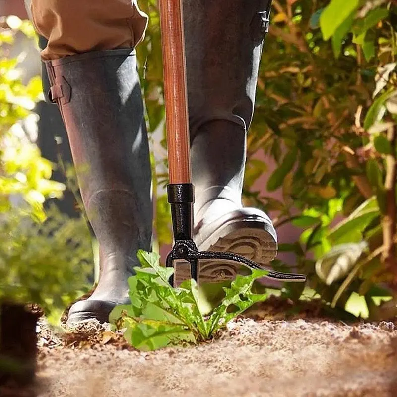 Soil entry into weeder