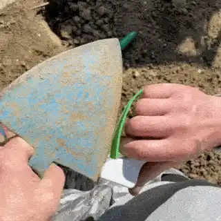 Garden tools in action
