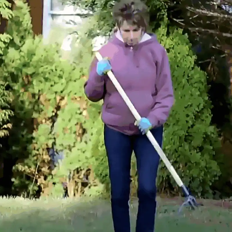 Garden Weeder in Use